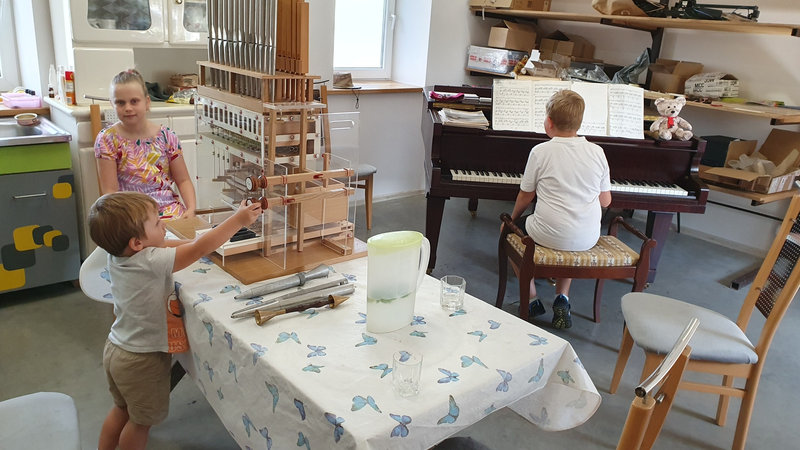 Szkolenie Budowa i rodzaje organów